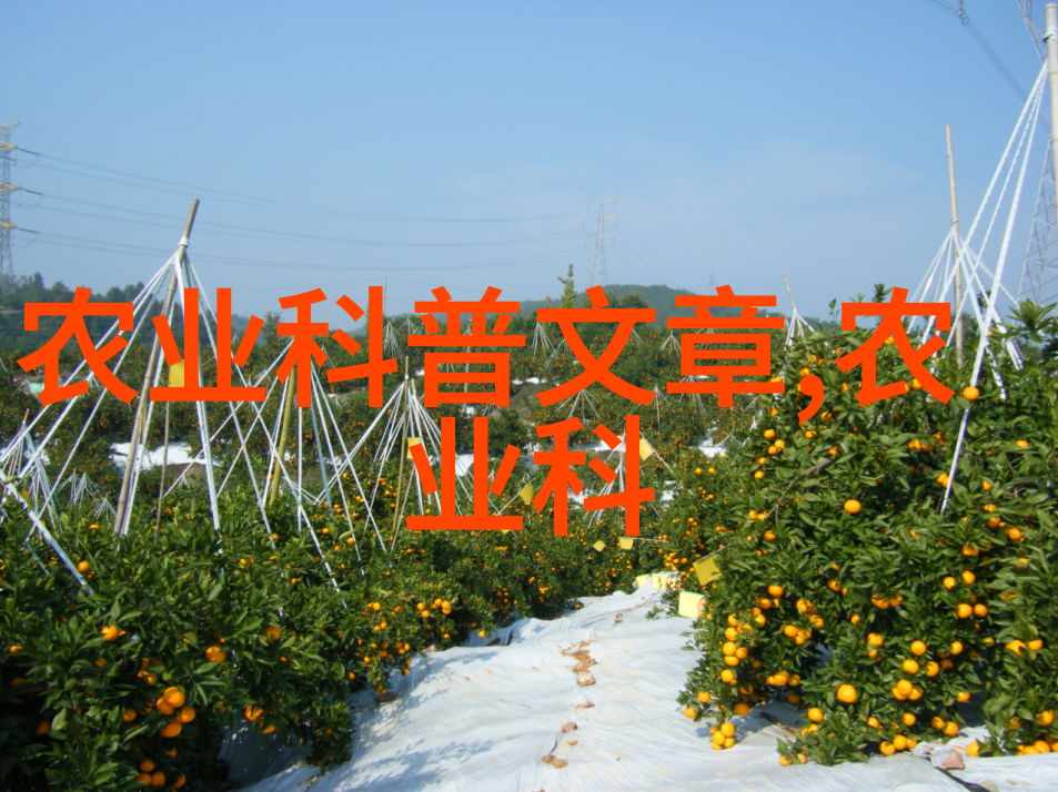 果实奇谭揭秘水果的神奇世界