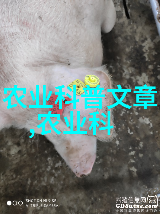 有什么花卉能够抵御多种环境条件