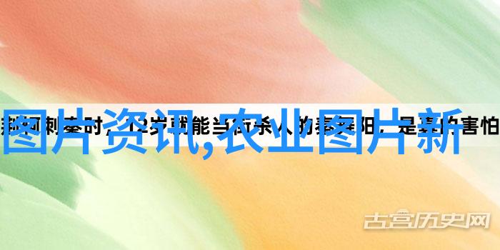 主题-精彩庭院蔬菜种植技术与管理之道