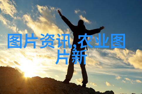 稻谷新时代烘干机的革命性变化