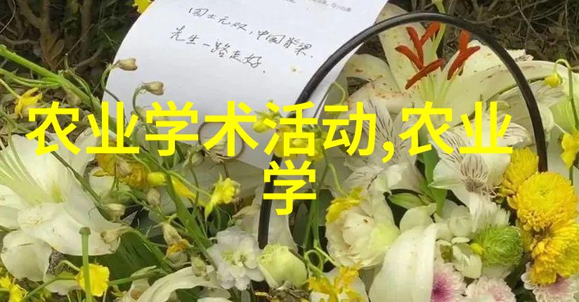 设备革命如何高效环保的包装未来