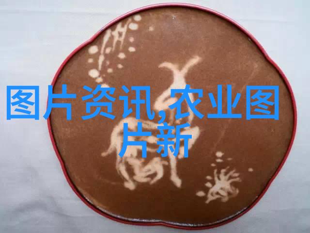 如何确保大规模粮食种植项目盈利