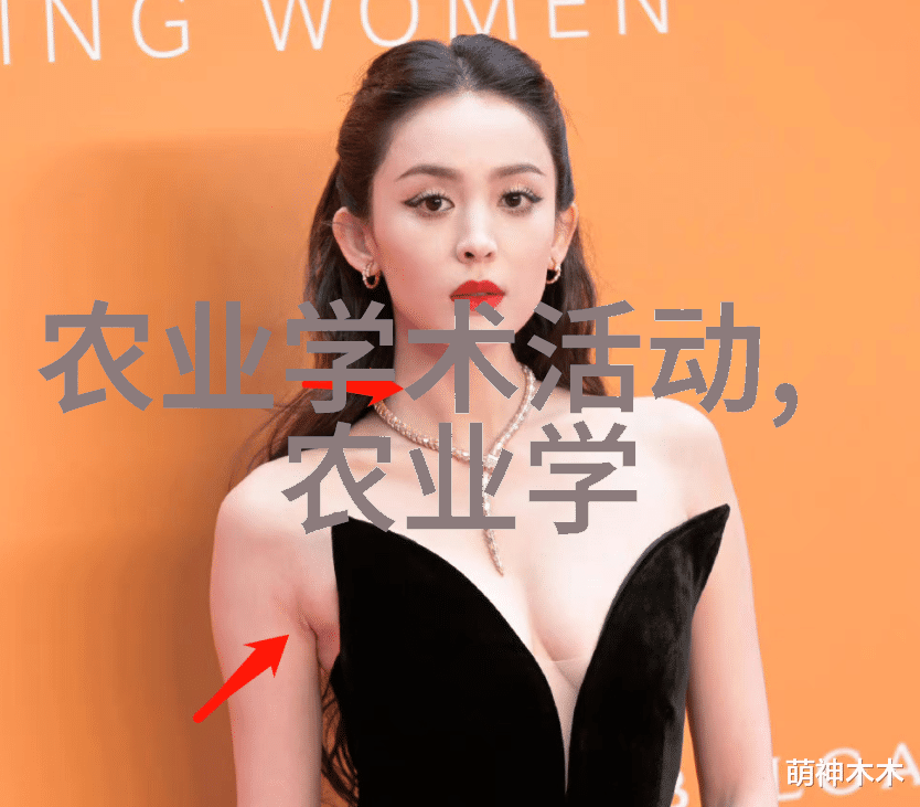 主题我来告诉你冬季室外能耐寒的那些花卉吧