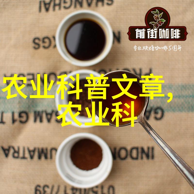 大型旋耕起垄施肥一体机革新农田生产效率的秘诀