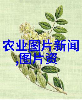 揭秘泥鳅养殖的真相为什么它被称作骗局