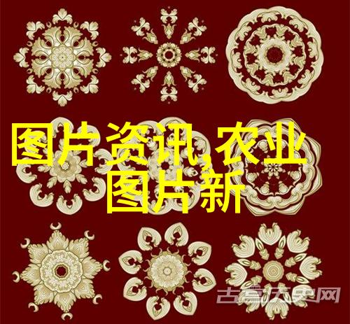 探秘中药世界我是如何发现3000种中草药大全名字和图片的