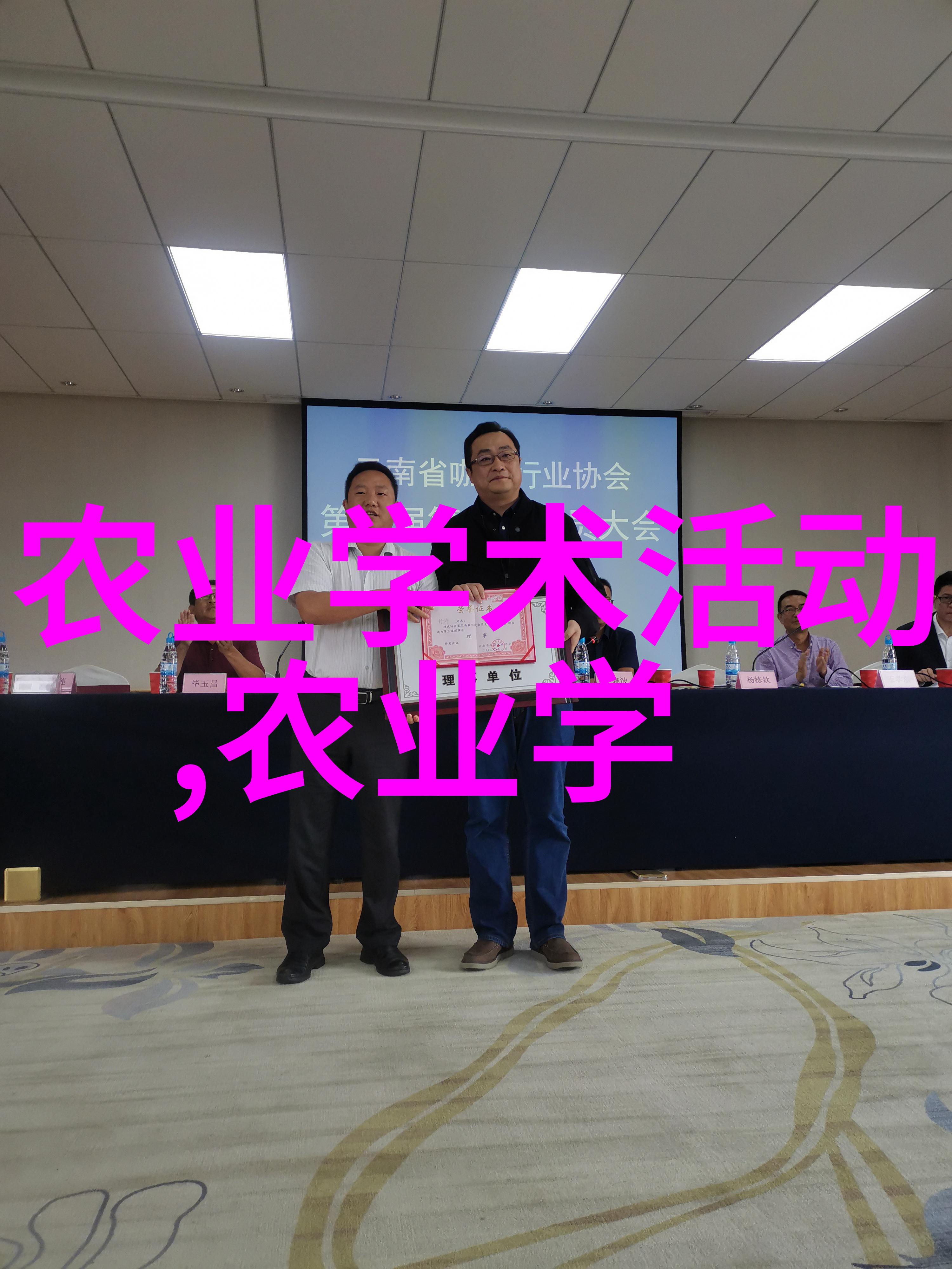全球最美茶叶形态大赏