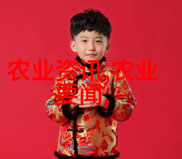 蜜蜂管理技术我是怎么学会和蜜蜂做朋友的