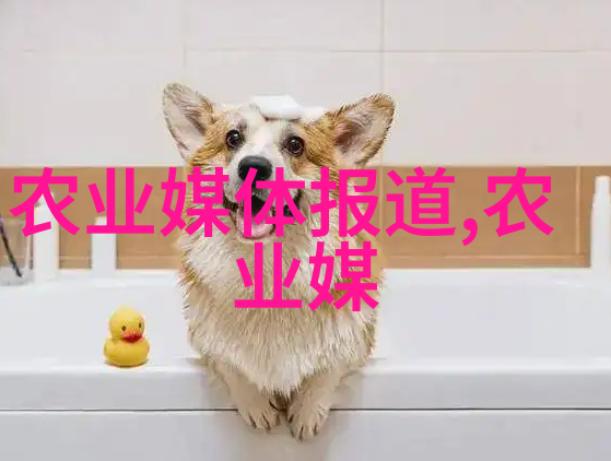 中国中药材交易中心官网我来告诉你怎么在网上买到最好的中药材了