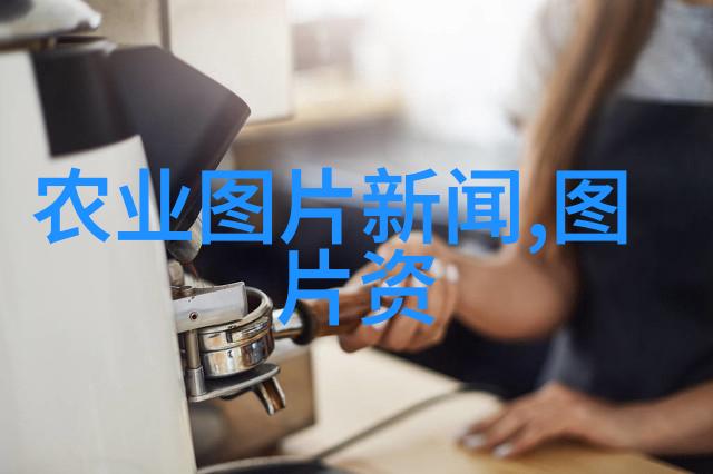 反复推广吕梁市绿色食品马铃薯生产技术甘蓝菜并重