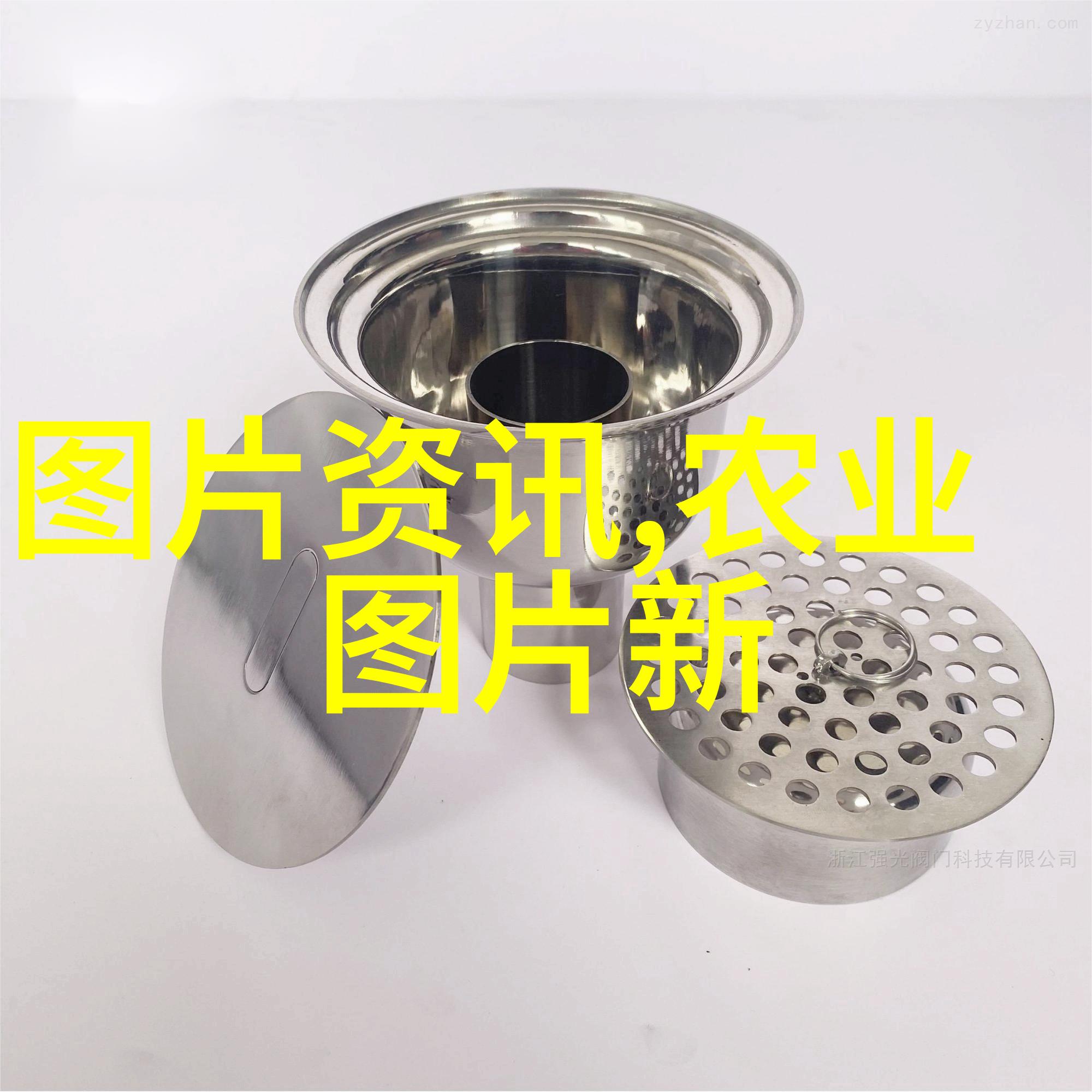 亲子活动带孩子一起种植苗木花卉有趣体验