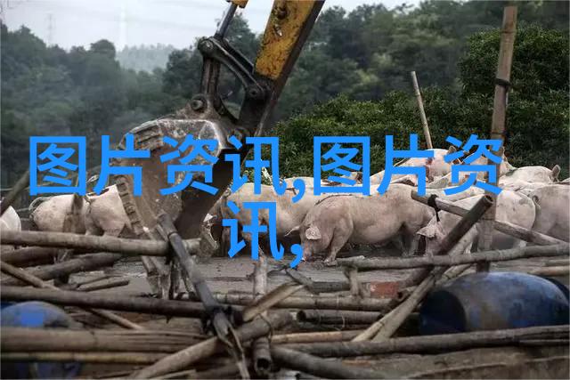 法律法规常识基础知识概览