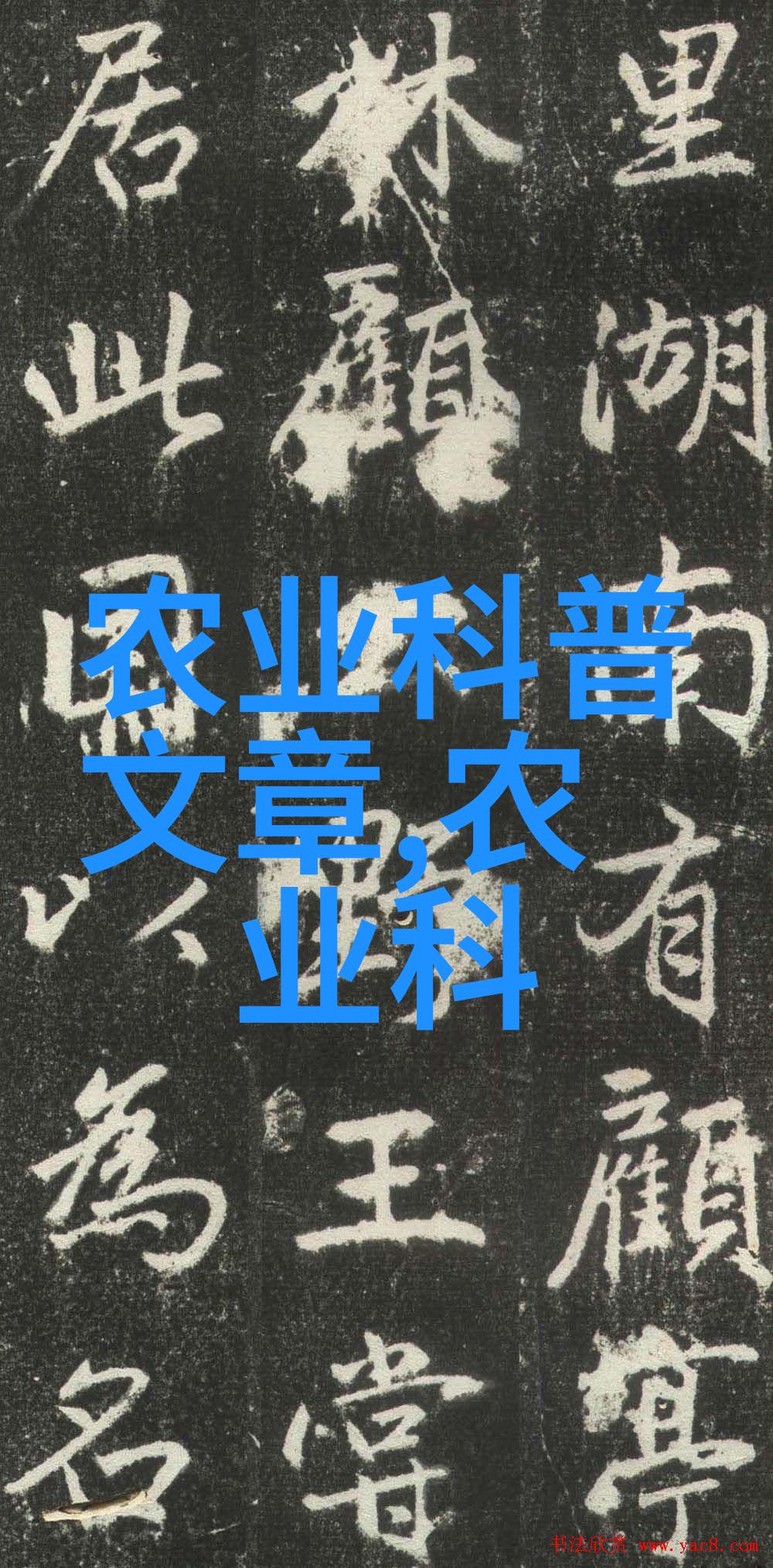 马齿苋的传说与栽培技巧