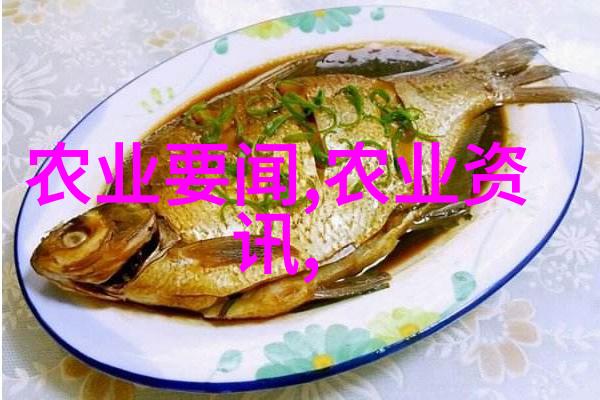 无需阳光照耀只要这十大抗阴之星就够了