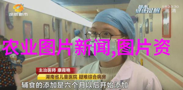 银杏赋能生活10年老树的美丽与实用性