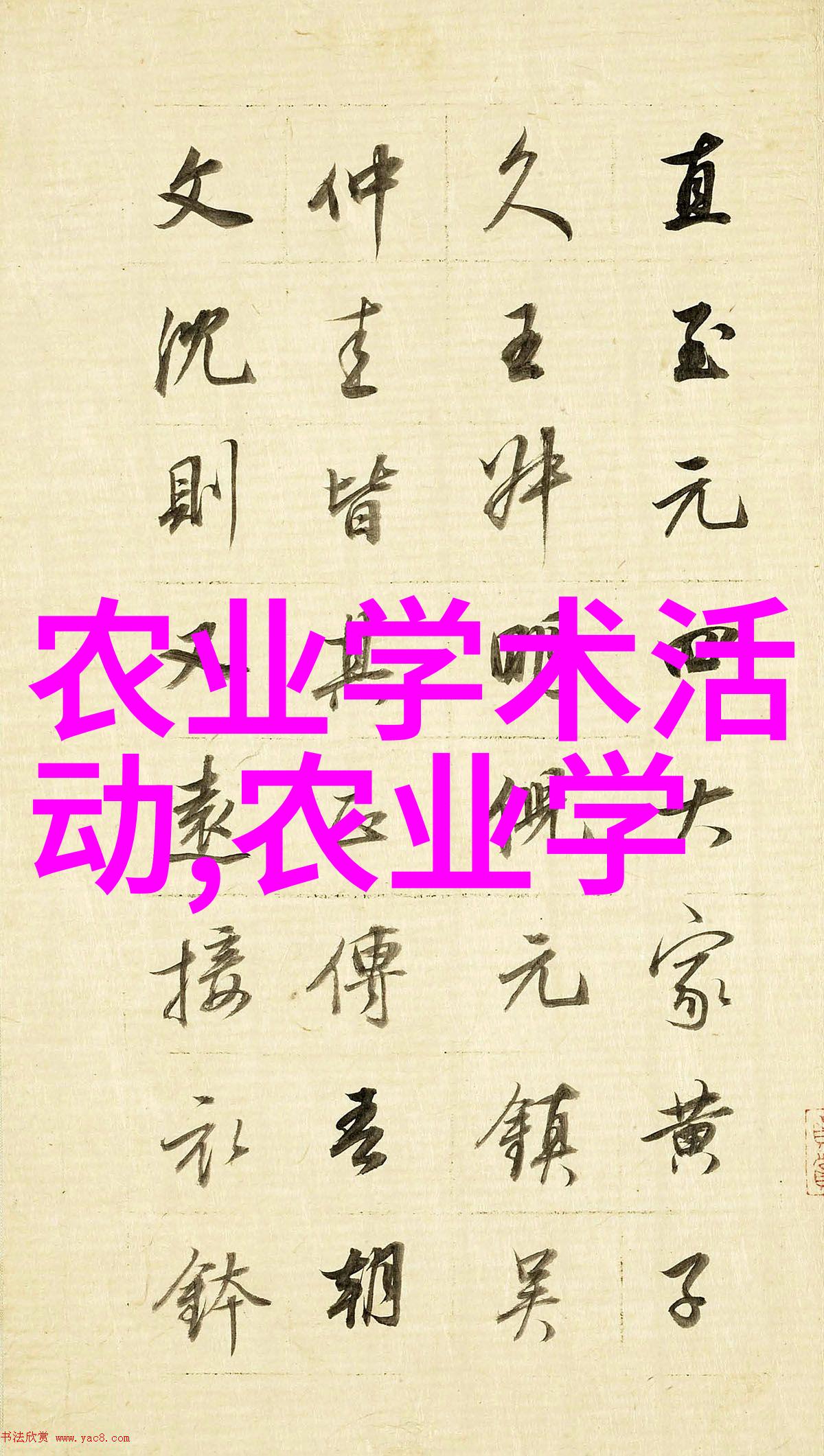 缅甸边境突发事件未知势力试图侵占关键军事基地政府紧急调动部队准备防御