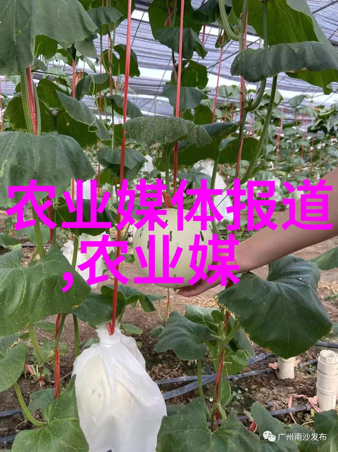 通过使用农资进许可证销售记录等功能能否降低欺诈风险
