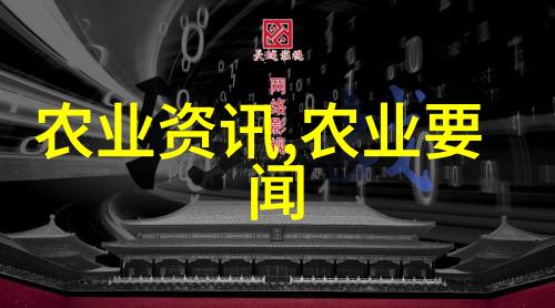 关于茶的知识有哪些-品鉴天下揭秘茶文化与知情人士的必备指南