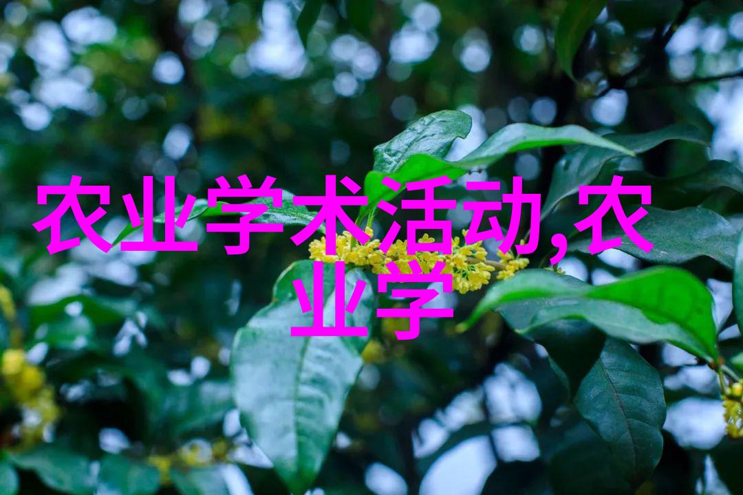 猪群智慧解锁生猪养殖的高效秘诀