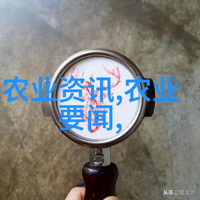 广玉兰市场价探究60公分直径的花木价格走势分析