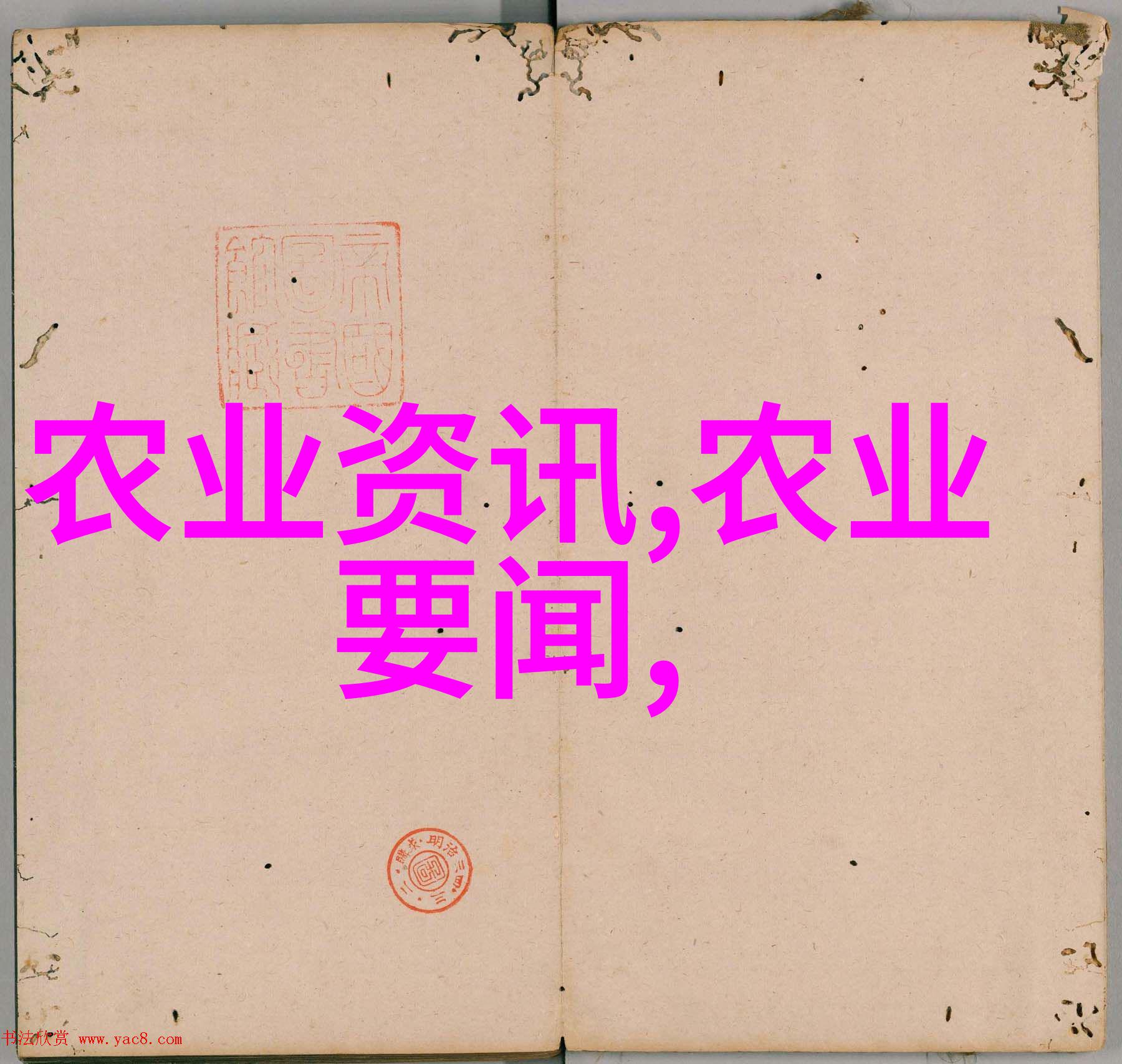二师兄的成长历程是怎样的