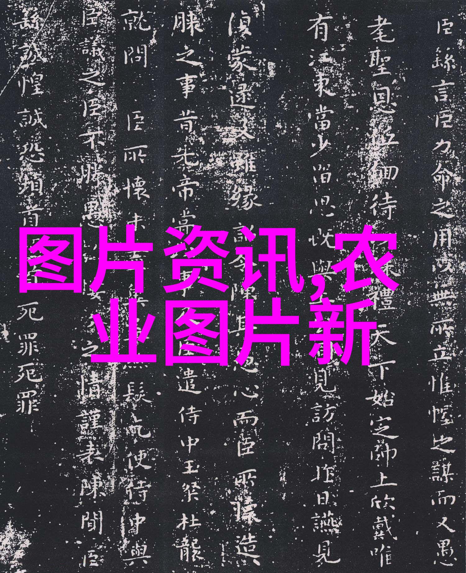 借口txt解密数字时代的逃避艺术