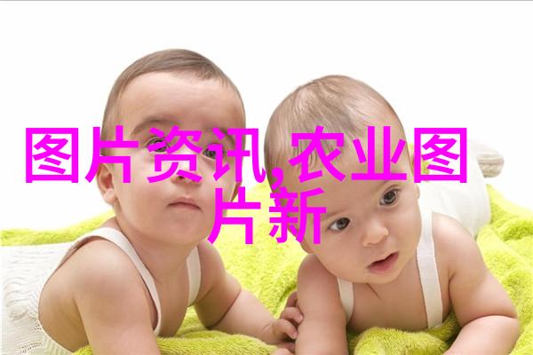 从古老的山林到世界各地的茶馆探索茶叶悠久的历史足迹