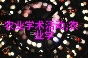 双喜未甜海海边的浪花与幸福的回忆