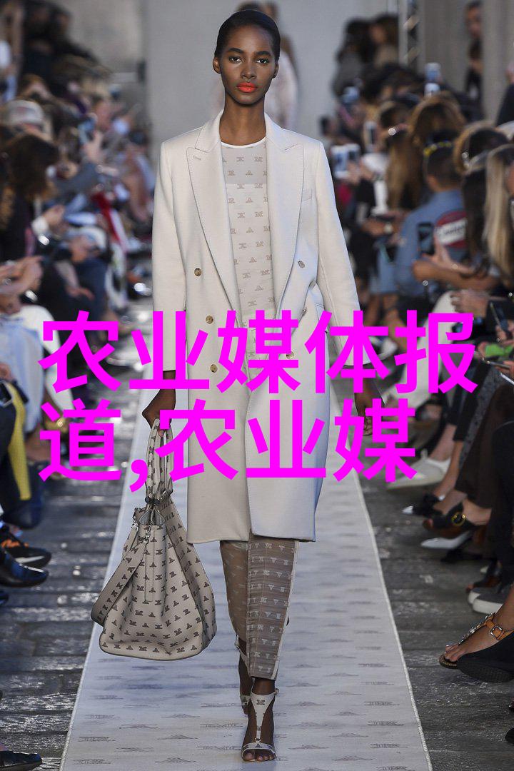 茶香四溢探索茶叶的五大秘密之处