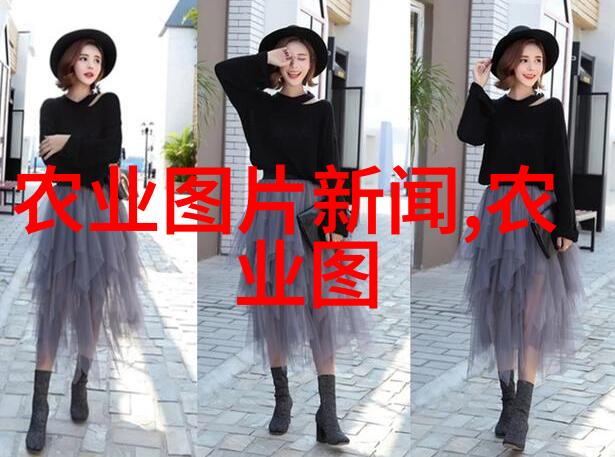 乌鲁木齐农机具大全揭秘新疆农机市场的种子与成果