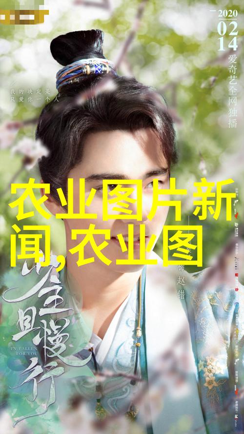 申请指南-如何申请中药材种植基地从准备到成功的全程指导