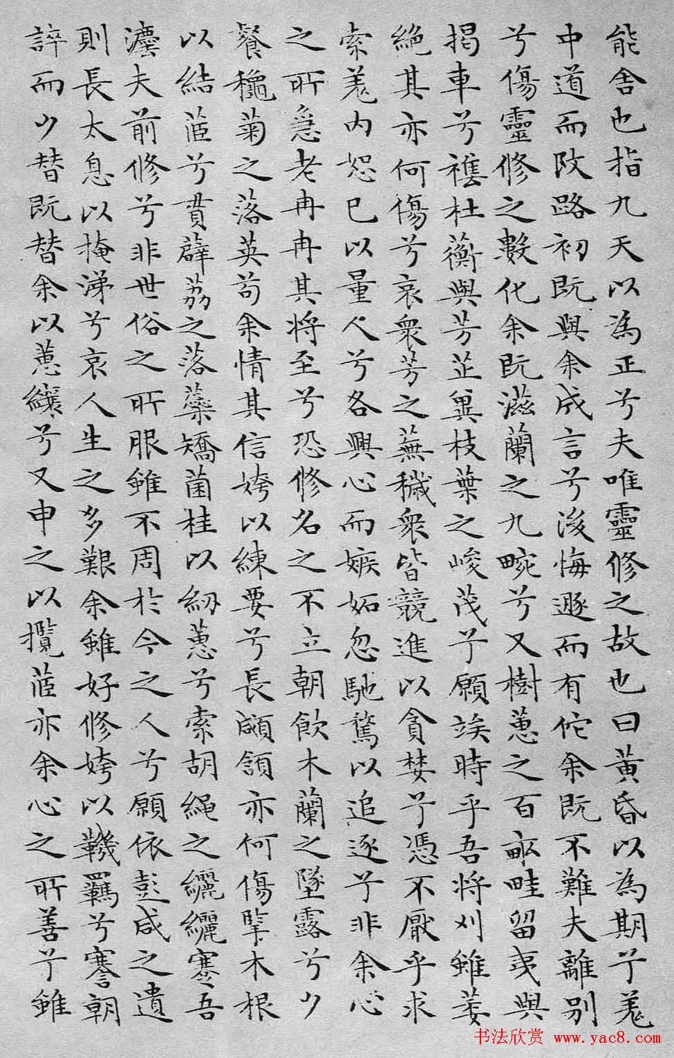 种花指南-如何正确种植花卉详细的种子种植步骤