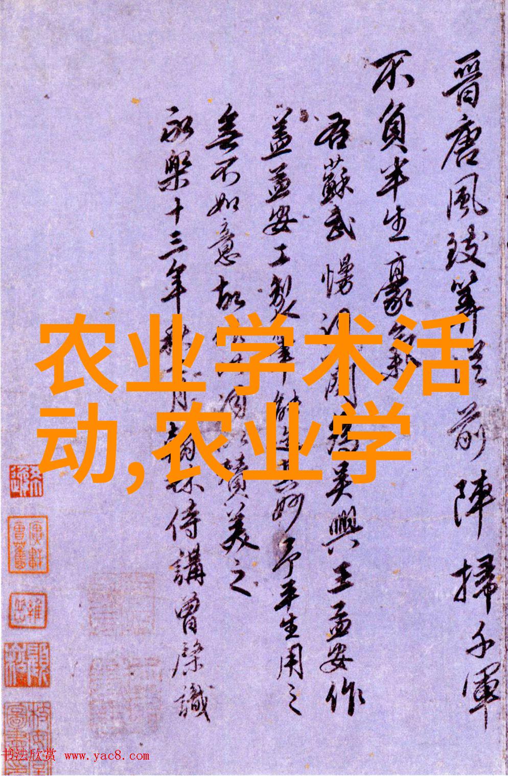 春日佳音易于种植的五种果树选择
