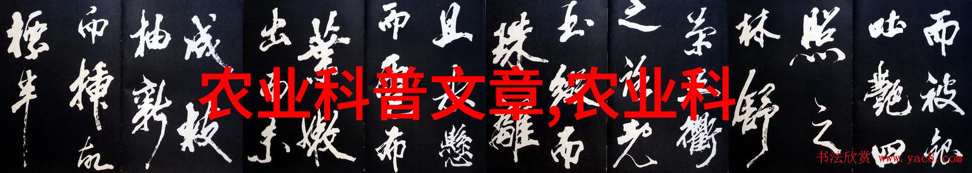 从业者必备详解中小型养殖场员工训练的费用结构