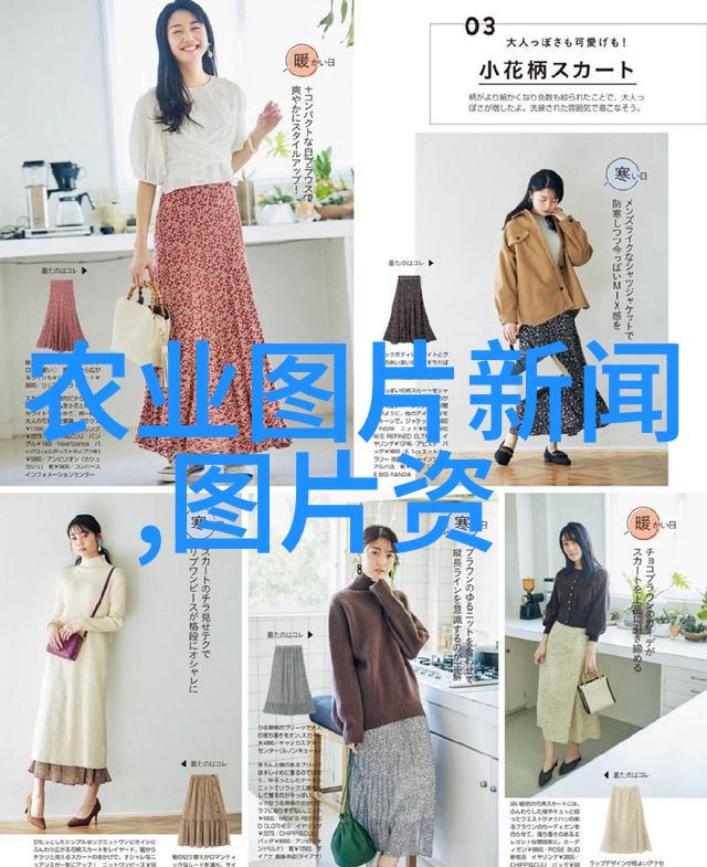 双季丰收的梦想机器水旱两用耕田革命化新篇章