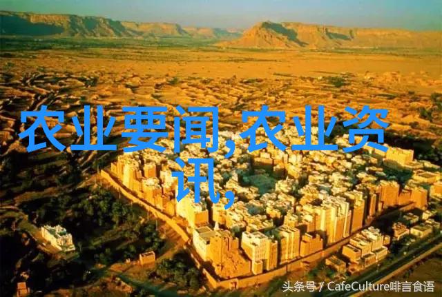 DIY手工花瓶装饰如何利用十种不同类型的旺家绿植创造独特风格