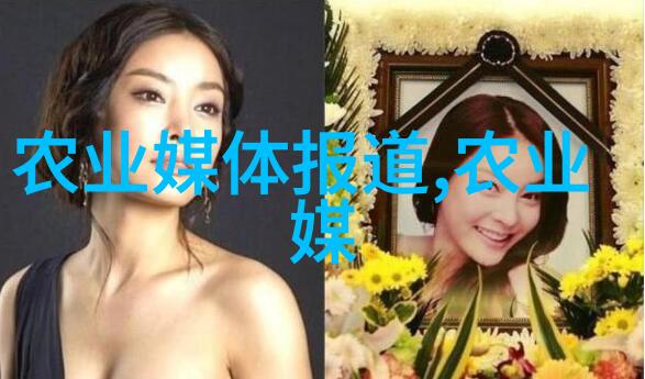 森林再造机器挖树机如何重塑我们的木材采集时代
