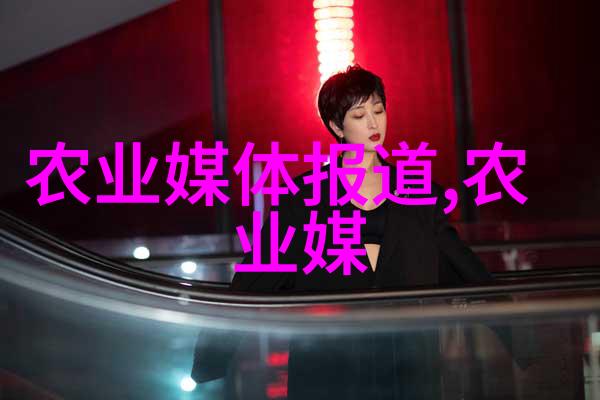 茶的智慧品味中药之美