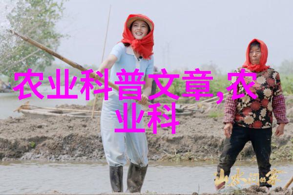 探寻药材之源深入田野的采集艺术