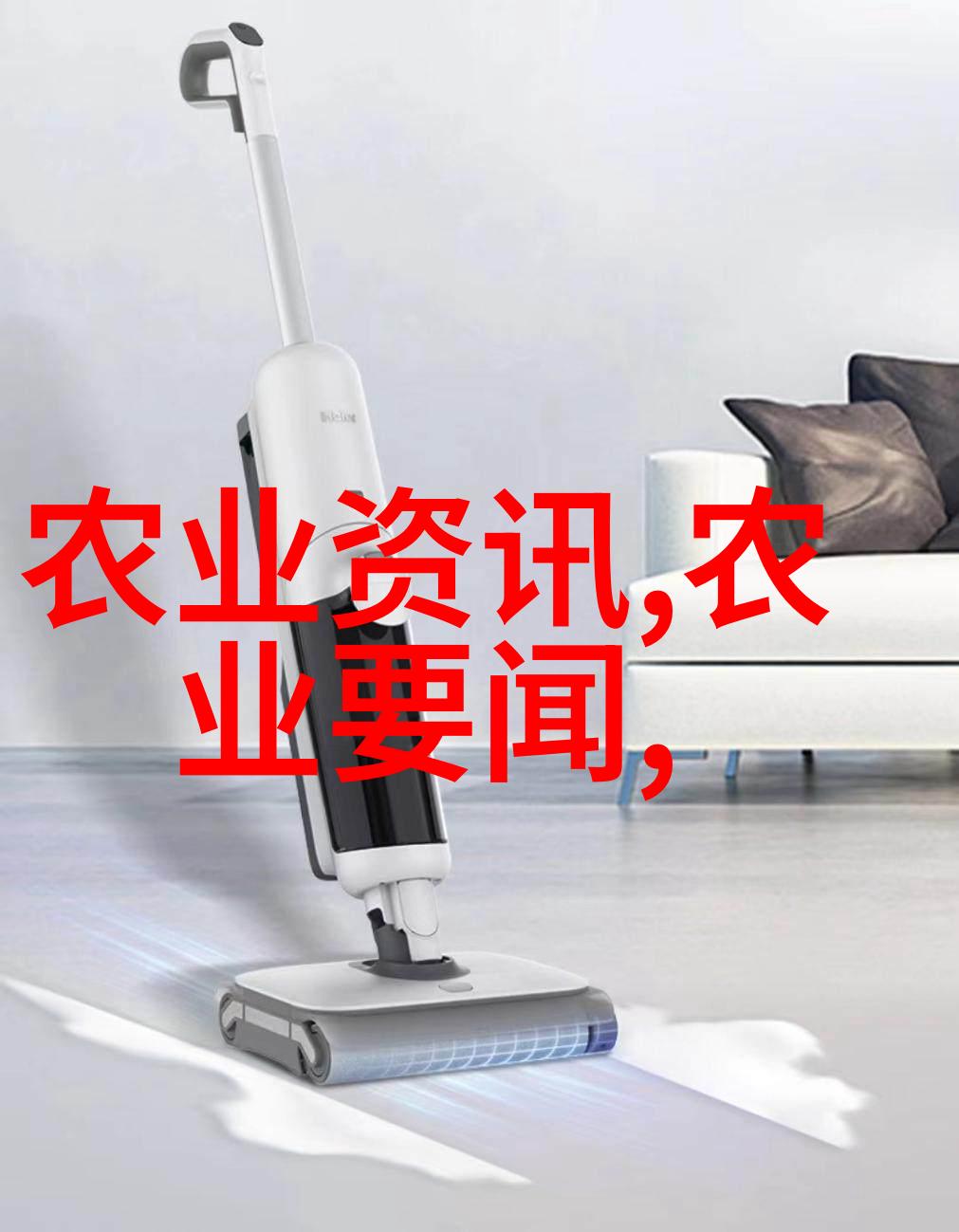 旭日花香揭秘桔梗种植的黄金法则与丰厚回报