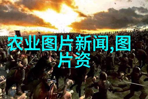 秋季花卉栽培的精妙策略