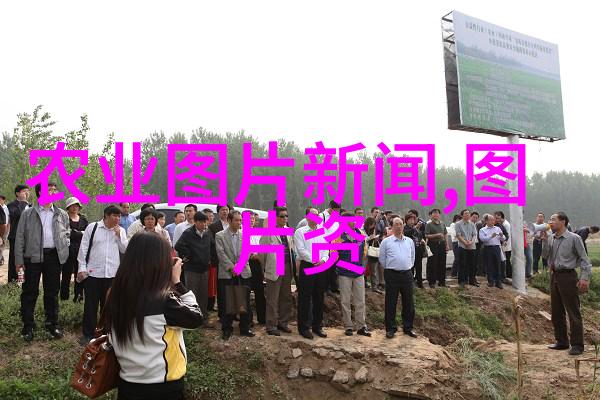 水果百科我是怎么知道苹果不是只吃的
