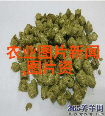 疙瘩头-疙瘩头童年时光中的不完美美好