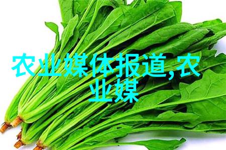 农机市场期刊我是怎么在农机市场上找到黄金机会的