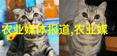 茶叶入门什么是普洱茶