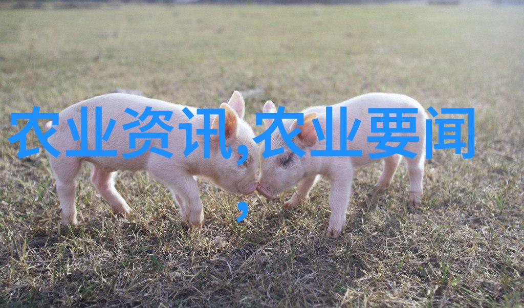 奇草异宝揭秘千元一斤的神药