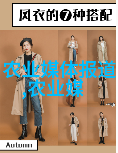 茶叶的成分之谜解开那杯香气背后的秘密
