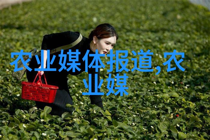 液压破碎锤操作技巧与安全措施