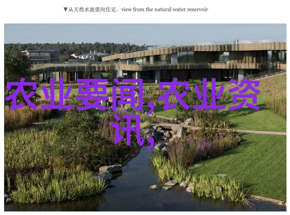 秋葵APP永久下载网站IOS我来教你如何一键获取秋葵直播的最新版本
