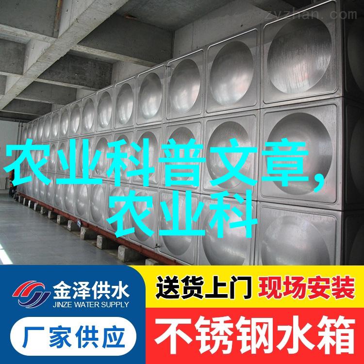 冬暖蔬菜大棚绿意盎然的冬日佳肴